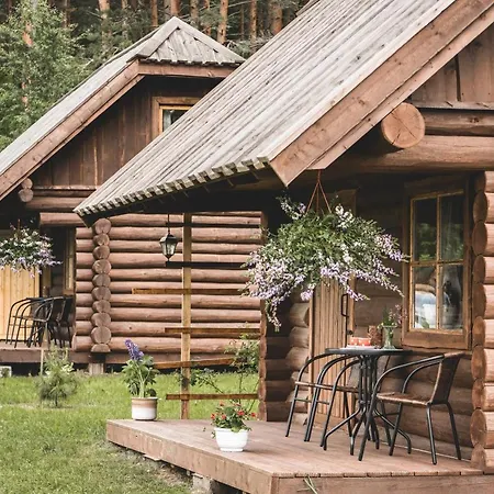 Campsite Metsaluige Turismitalu *