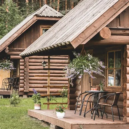 Parque de Campismo Metsaluige Turismitalu *