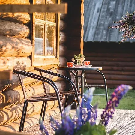 Campsite Metsaluige Turismitalu