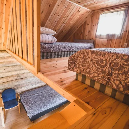 Metsaluige Turismitalu