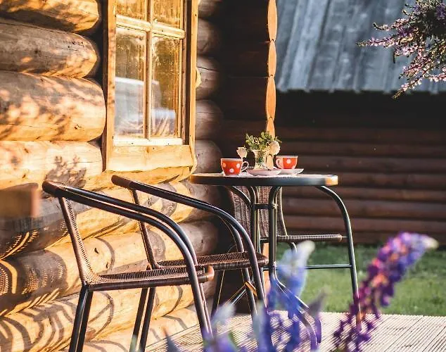 Campsite Metsaluige Turismitalu