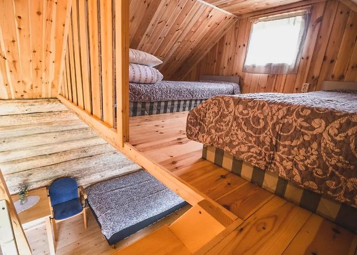 Metsaluige Turismitalu