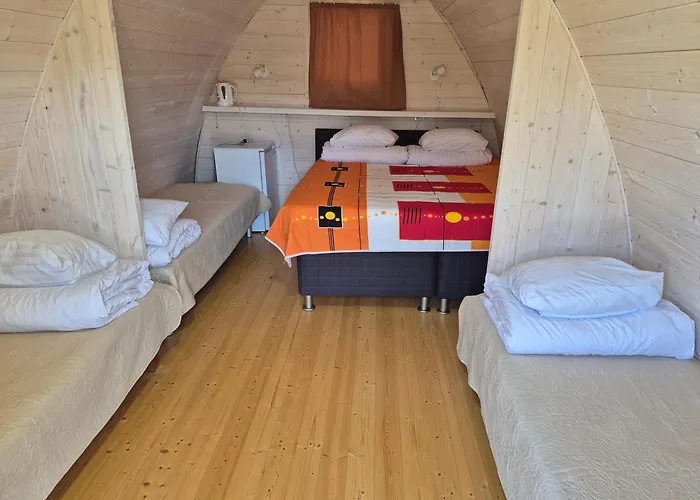 Campsite Metsaluige Turismitalu